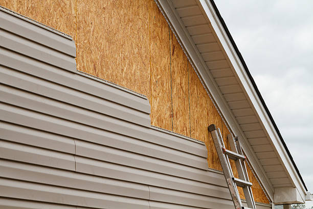Professional Wood Siding technician working in Hebron, IL